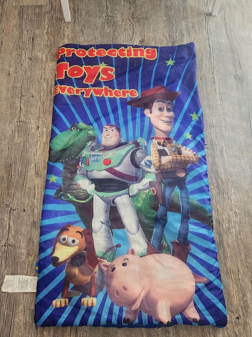 Toy Story Sleeping Bag
